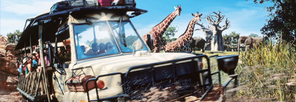 Disney’s Animal Kingdom Theme  Park